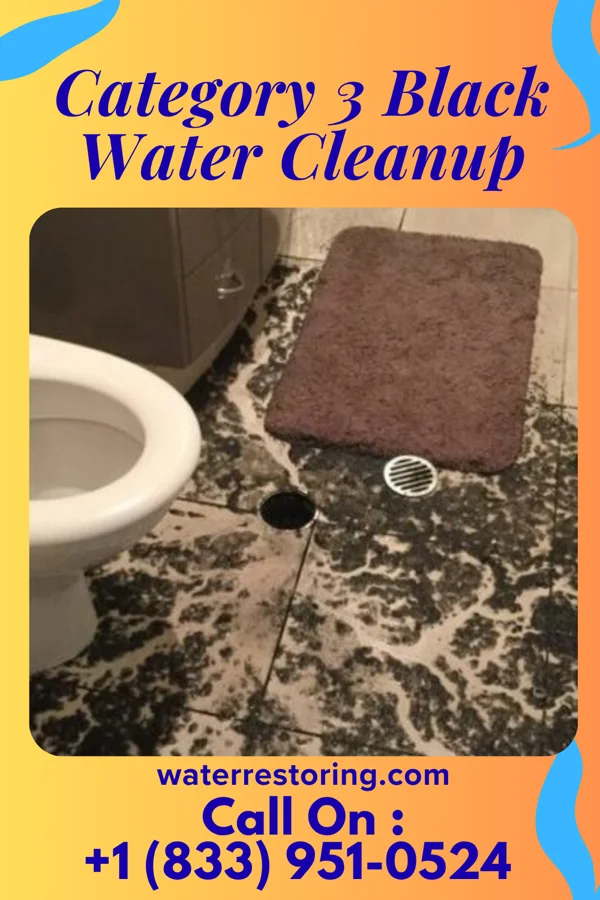 Category 3 Black Water Cleanup in Tidioute, PA