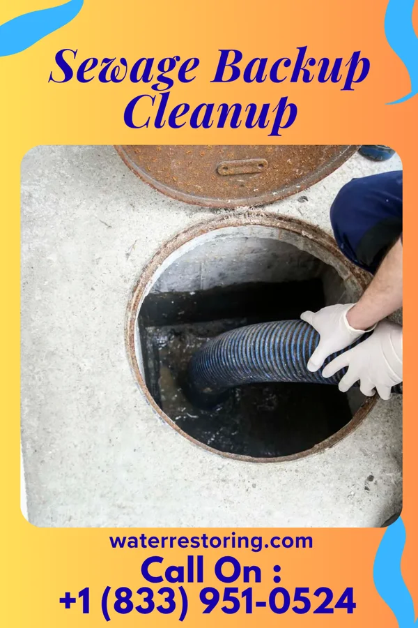 Sewage Backup Cleanup in Tidioute, PA