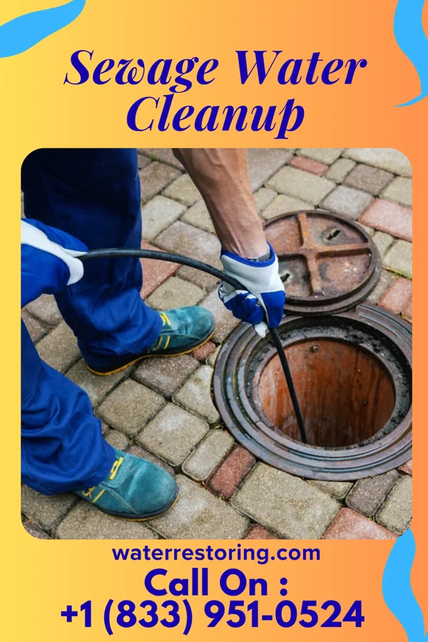 Sewage Water Cleanup in Tidioute, PA