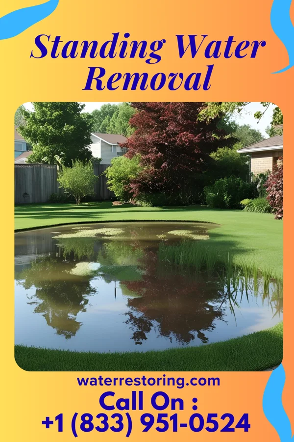 Standing Water Removal in Tidioute, PA